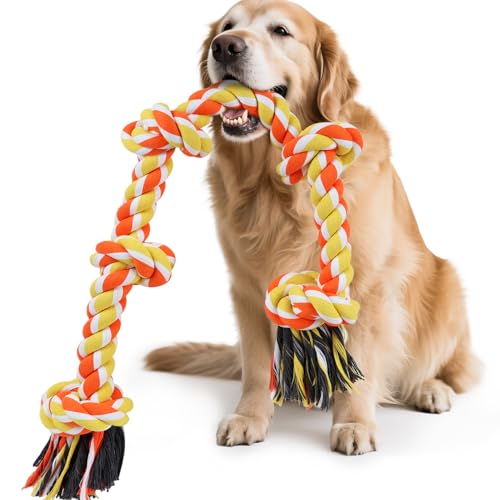 SZEE p[vgC ^p 37C` 5mbgA^&AObVuݗpnEB̂ vŃ^tȍj[vÃN[jO&ދɘap(CG[&IW)