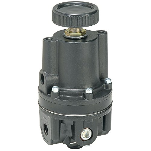 Air Regulator, 1/8 in. NPT, 45 cfm, 250 psi