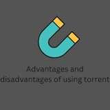 Advantages and disadvantages of using torrent