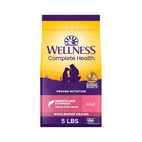 Wellness Complete Health Sensitive Skin & Stomach Dry Dog Food, Wholesome Grains, Natural, Salmon & Rice Recipe, (5-Pound Bag)