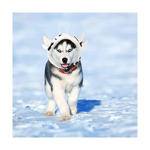 Balacoo puppy hoodie dog cow hat, cow shaped plush pet cosplay hat cow headgear lovely pet dog costume pet supplies puppy clothes - image 4