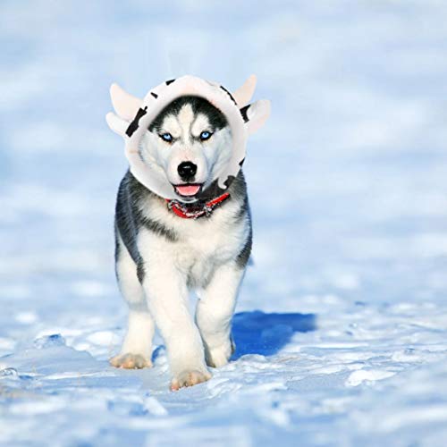 Balacoo puppy hoodie dog cow hat, cow shaped plush pet cosplay hat cow headgear lovely pet dog costume pet supplies puppy clothes 3 Balacoo puppy hoodie dog cow hat, cow shaped plush pet cosplay hat cow headgear lovely pet dog costume pet supplies puppy clothes - image 4