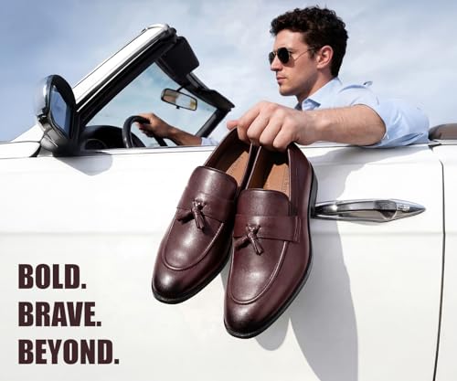 Image of LOUIS STITCH Men's Shoes Tassel Style Comfortable Moccasins for Men (RGMCPLTA)