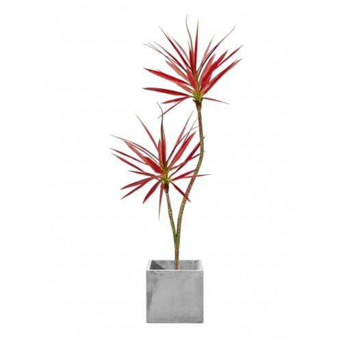 Fuyutu �l�H�ϗt�A�� ���b�J 140cm-180cm ��^ �t�F�C�N�O���[�� ���t�� ������� ���A�� �͂�Ȃ� �����s�v �C���e���A ���j��