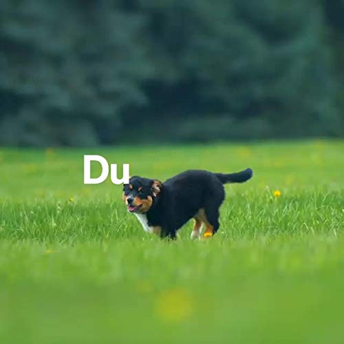 DOGS-HEART PARATIC Schutz Snacks (1.250 Stüc) | Natürlicher Haut- & Fellschutz mit Schwarzkümmelöl & Kokosöl | Premium Snack für Hunde | 100% natürlich & ohne Zusätze (1250 g)