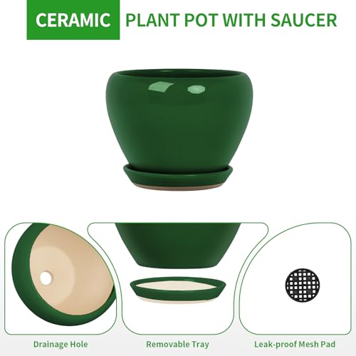 Deep Dream 10 Inch Plant Pot- Ceramic Planter Pot Round Plant Pots for Indoor Plants Outdoor Large Flower Pot with Drainage Holes & Trays, Green by Deep Dream - Used condition - Image 7