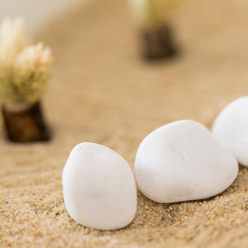 Natural Colour Silica Sand - COARSE Grain 1mm-2mm | Ideal for Aquariums, Arts and Crafts, and Gardening Soil (1KG)