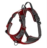 My Busy Dog Harness Vest | No Pull, Easy On/Off, Front/Back Metal Leash Attachments, Handle,...