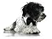 Platinum Pets Formal Dog Bow Tie Collar, Black & White