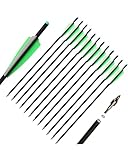 TOPARCHERY 12pcs Crossbow Arrows Crossbow Bolts 20 inch Hunting Archery Crossbow Carbon Arrows with 4 inch Vanes and Replaced Arrowhead/Tip (A Green White 20'')