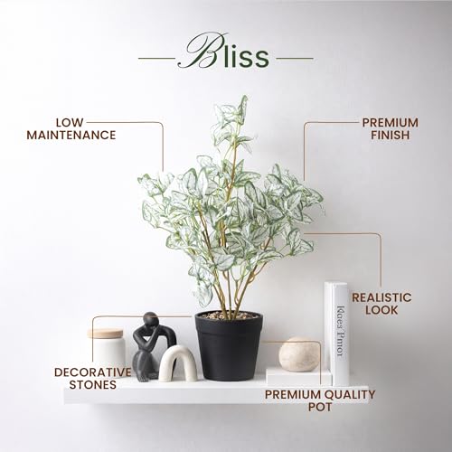 Image of Habere India-All the Cultures Fabricating India Arrowhead Artificial Plant with Pot for Home Decor | Small Fake Flower Plants for Living Room & Indoor Decoration (Design04: L9 x W9 x H40 cm)
