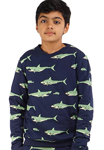 Image of Real Basics Boys Cotton Round Neck Sweatshirt /Hoodie