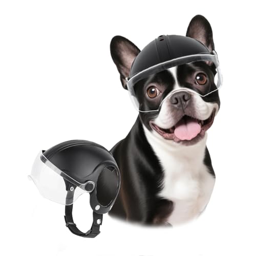 LESYPET pwbg ^p oCNwbg hbv_E NAoCU[ AEghA oCNp h ybgpXq t ubN