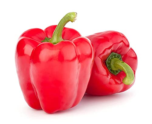 Grixisonsazia Capsicum Red Bell Pepper F1 Hybrid Vegetable Seeds For Home Terrace Indoor Outdoor Gardening Planting Farming (Pack Of 50 Seeds) (B09ZRVT3FL) Amazon Price History, Amazon Price Tracker