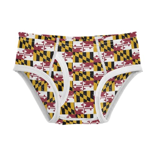 Boys' Exclusive Briefs Toddler Underwear 95% Combed Cotton Boxerbriefs 2T Checkered Pattern 8