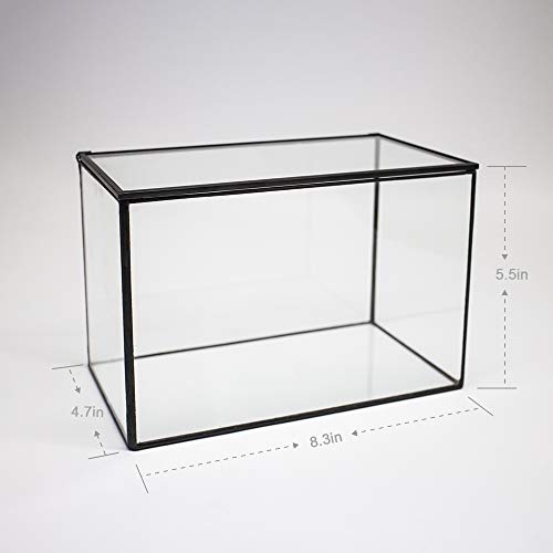 Ferrisland TERRARIUM 001 Glass Plant Terrarium Container Wardian Case Indoor Small Succulent Terrarium Planter W/Door thumb #6