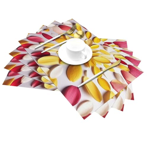 Lot de 6 sets de table lavables PVC tissé résistant chaleur - 4