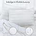 DIORIS Pillows Queen Size Set of 2 - Luxury Hotel Collection Bed Pillows for Sleeping, Supportive Side Sleeper Pillow, Fluffy Down Alternative Microfiber Filled for Back, Stomach Sleepers