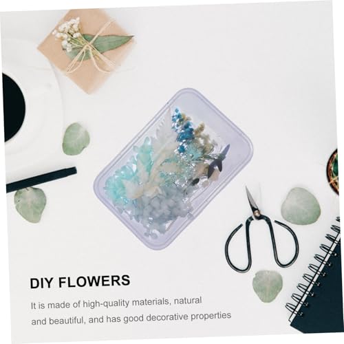 Kit de flores secas para manualidades DIY miniatura 4