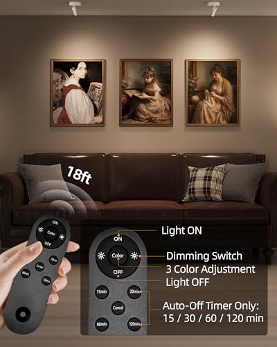 Image of EZVALO Battery-Powered LED Spotlight Indoor, Wireless Picture Lights with Remote, 5500mAh Rechargeable Mini Display Light, Uplighting Indoor for Artwork, Tree, Painting, Portrait (1-Pack White)
