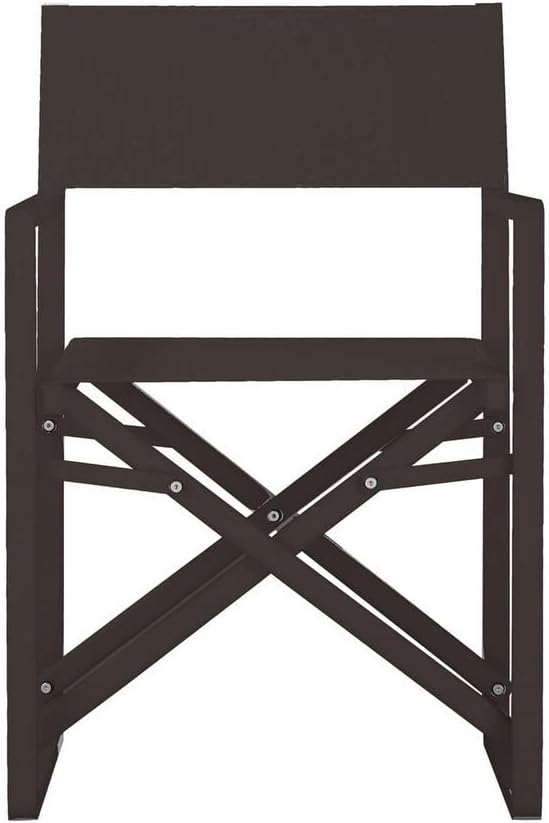 Benjara Metal Director Chair with X Shaped Braces, Set of 2, Black