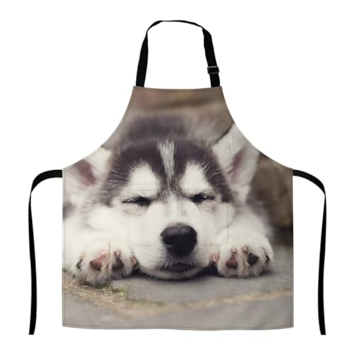 [NBKING] nXL[  Gv fB[X Y | ߉\  |Pbgt EȒP 傫TCY h Ǝp p Ɩp Ɨp jp