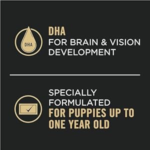 Purina Pro Plan High Protein Puppy Food Pate Chicken and Brown Rice Entree  pack of 12 13 Oz Cans  Cucciolini Doodles Purina pro plan high protein puppy food pate chicken and brown rice entree  pack of 12 13 oz Cans   cucciolini doodles