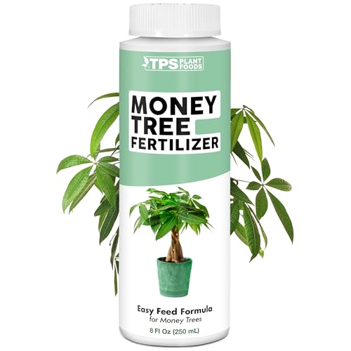 Money Tree Fertilizer for Money Trees and All Pachira Plants, Liquid Plant Food 8 oz (250mL)