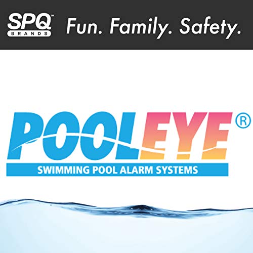 SmartPool PE20 Pooleye IG Piscina Allarme