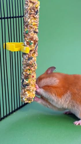 Little One Fruit & Nuts Sticks | 120 g (2 x 60 g) | Ergänzungsfuttersnack für Hamster, Ratten, Mäuse und Rennmäuse | Mit Früchten und Nüssen | Vielseitig befestigbar