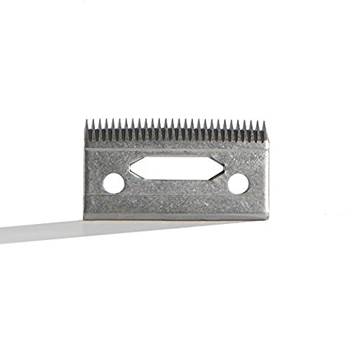 Wahl Professional Balding 6X0 Clipper Blade - for the 5 Star Series Balding Clipper for Professional Barbers and Stylists - Model 2105
