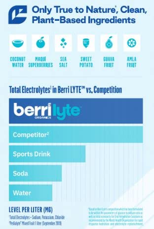 Berri Lyte Plant Based Organic Electrolyte Solution – Pediatric Rehydration Drink – Low Sugar Grape Flavor, 1 L, 6 Ct #TOP1