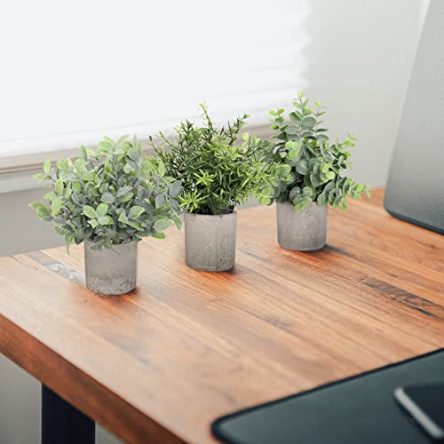 Mini plantes artificielles de qualité supérieure avec macramé mural - 6