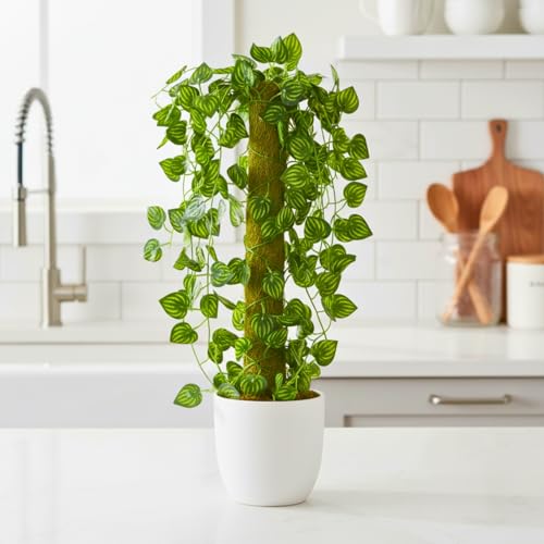 Image of fancymart Artificial Green Leaf Hanging Creeper on Moss Stick (Without Pot) - 60 cm Tall Hanging Creeper Plant for Indoor Home, Office, Restaurant & Cafe Decoration