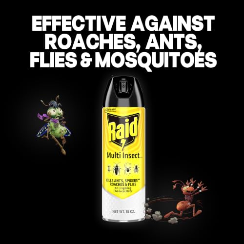 Image of Raid Multi Insect Killer, Kills Ants, Roaches, Spiders and Other Insects on Contact, For Indoor and Outdoor Use, 15oz