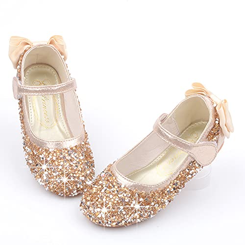 Girl's Adorable Bow Mary Jane Ballet Flat Glitter Princess Flower Girl Wedding Party Dress Shoes(Toddler/Little Kid)2