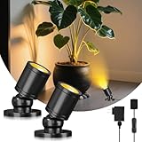 TobeBright Mini LED Spotlight Display Lights Plug in Indoor Small Spot Lights for Art Model Showcase, Wired Accent Uplights for Plant Picture (Warm White-2 Light 1 Plug)