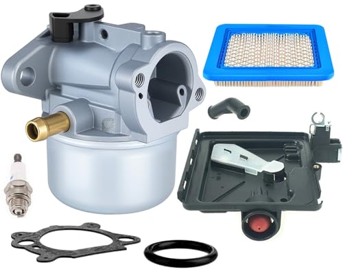 Briggs & Stratton Carburetor & Air Filter Kit 498170-14111