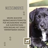 EMMA Multivitamin Paste Hund 15ml | Vitaminpaste für Hunde & Welpen | Vitamin B-Komplex A C D3 E B1 B2 B6 | Immunsystem stärken | Vitalität & Fellpflege | Hunde Vitamine Senior & Welpen