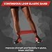 THERABAND Resistance Band Loop, Professional Latex Mini Band for Lower Pilates, Crossfit, Yoga, Stretching, Physical Therapy, Strength Training without Weights, 12 Inch, Red, Medium, Beginner Level 2