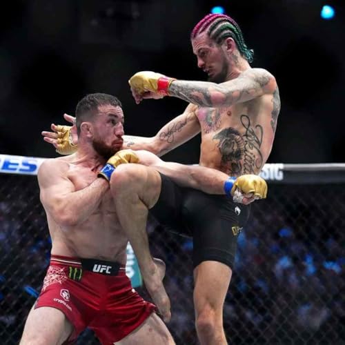 UFC 316: Dvalishvili vs O'Malley preview