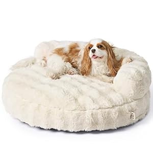 EHEYCIGA Medium Dog Bed and Large Cat Couch – Fluffy Faux Rabbit Fur Pet Sofa for Small and Medium Dogs, Washable Removable Cover, Waterproof and Non-Slip, 30 Inch, Cream