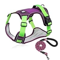 う*る様 MURRAL タグ付き ハーネス シルバー Jewel harness (Silver)
