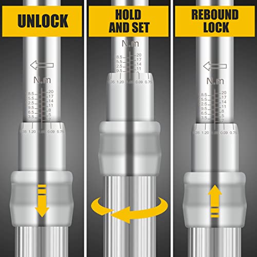 Pgroup 1/4-Inch Drive Click Torque Wrench Set Bike Tool 2.0-20.0 Nm(17.7-177.0 In.lb) Dual Direction, Hex/Torx/Phillips Bit Socket Extension Bar Bicycle Maintenance Kit, 18 Pcs #TOP2