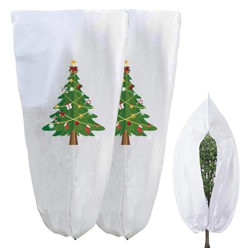 ؖhJo[ - 2 NX}X sDz ؕی | ό󐫎یV[g | O tFX K[f _ ы    p