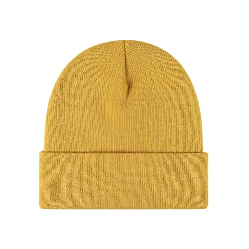 Image of Beanie for Men Women Warm Winter Hat Windproof Thick Knitted Cuffed Unisex Skull Cap
