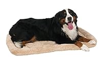 Algopix Similar Product 8 - Aspen Pet Bolster Style Kennel Mat