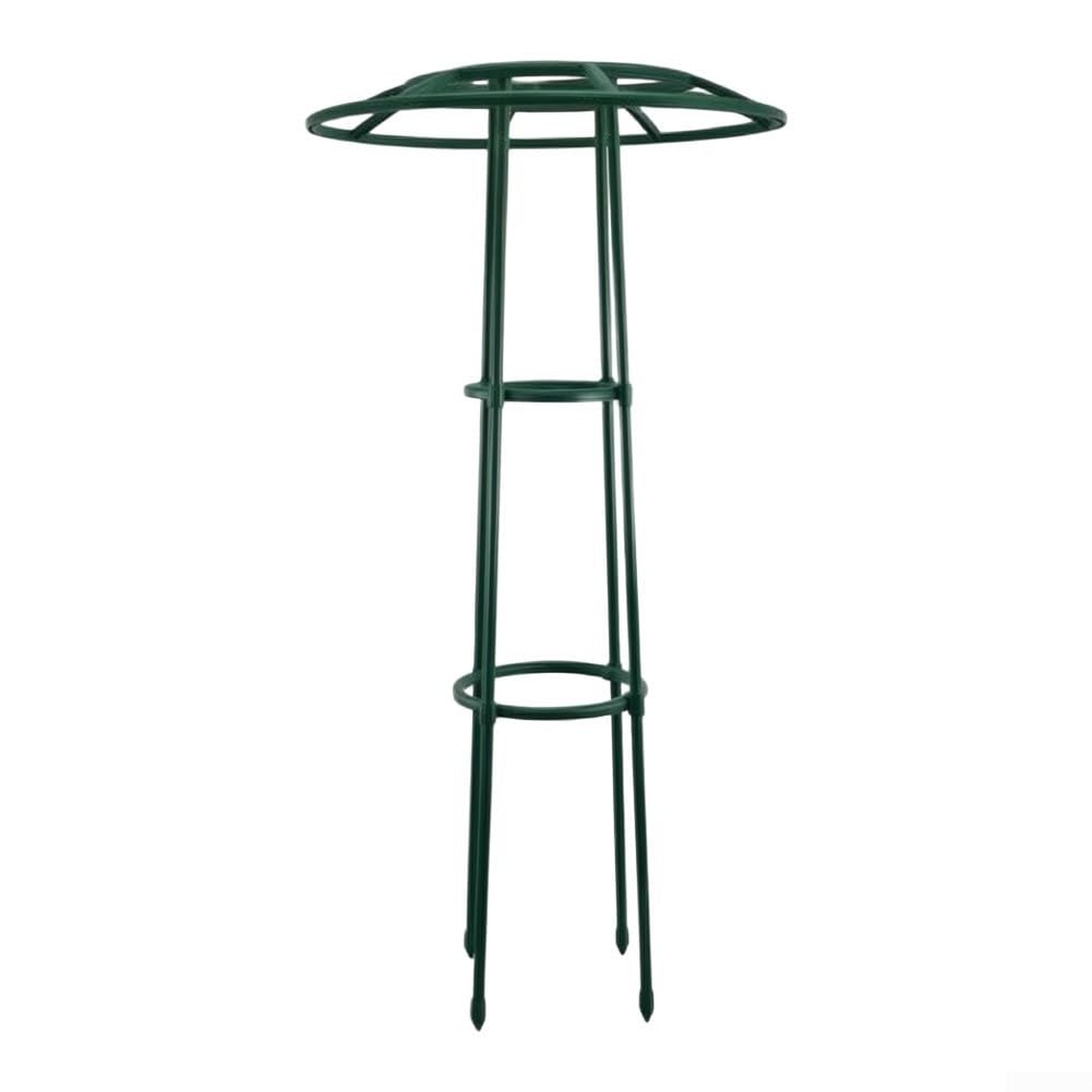 Pflanzenrankhilfe Grün Kunststoff Eisen Robust(116cm)