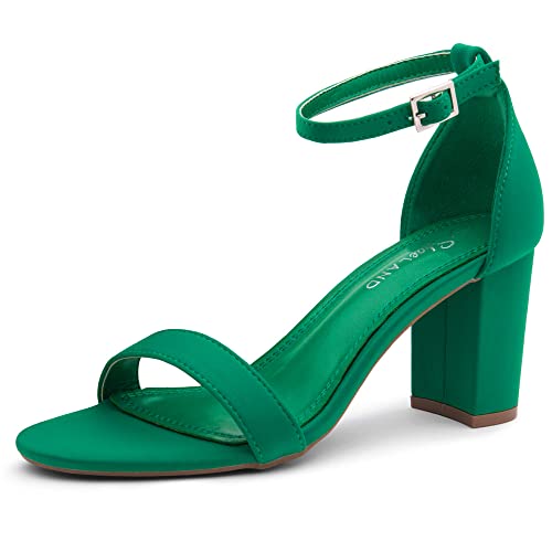 Image of Shoe Land Low Chunky Heels for Women Open Toe Ankle Strap Block Heel Sandals 3 Inch Dressy Heels for Wedding Party Date Night