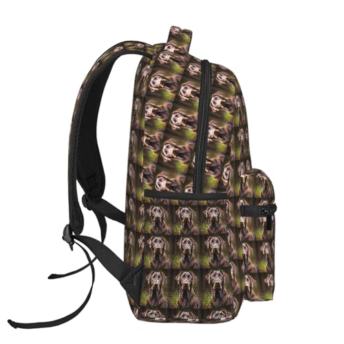 Mochila ligera de labrador marrón lavable y con compartimentos 3